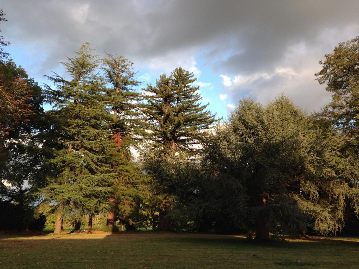 La Sabatiere Villa Bergerac Luaran gambar